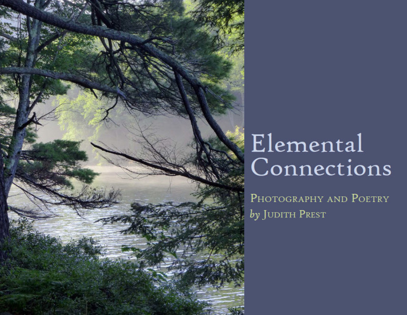 Elemental Connections Nature Poems Photographs - 