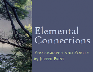 Elemental-Connections-Web